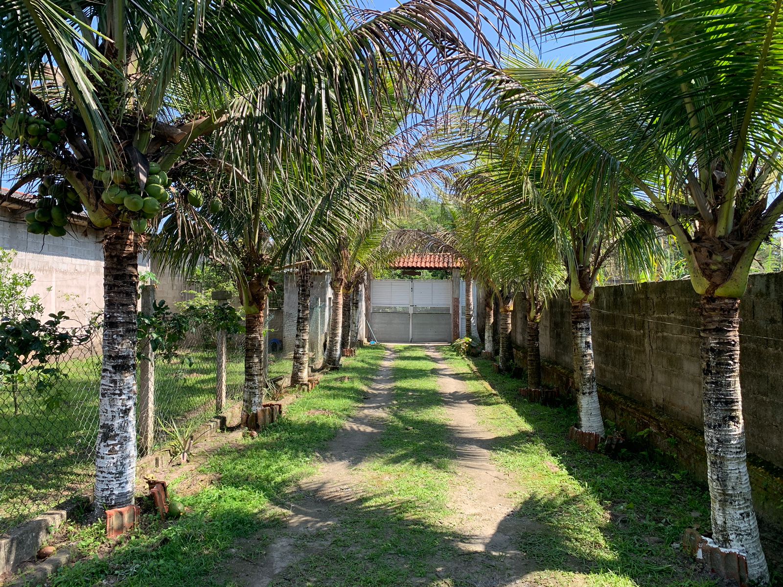 CHÁCARA COM 5 CASAS - ITANHAÉM/SP - SÃO FERNANDO ( 2000 M DO MAR ) - foto 2