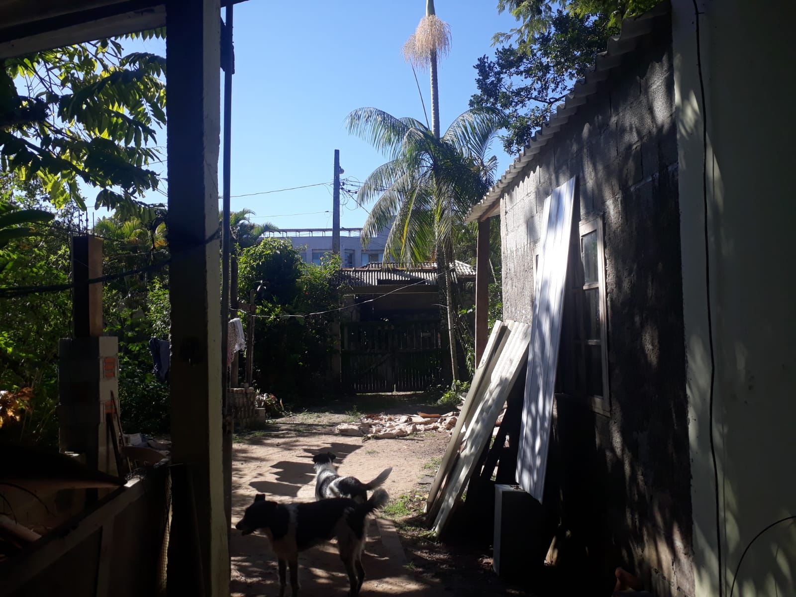 CHÁCARA EM ÓTIMO LOCALIZAÇÃO - ITANHAÉM/SP - PARQUE SERRA MAR  - foto 3