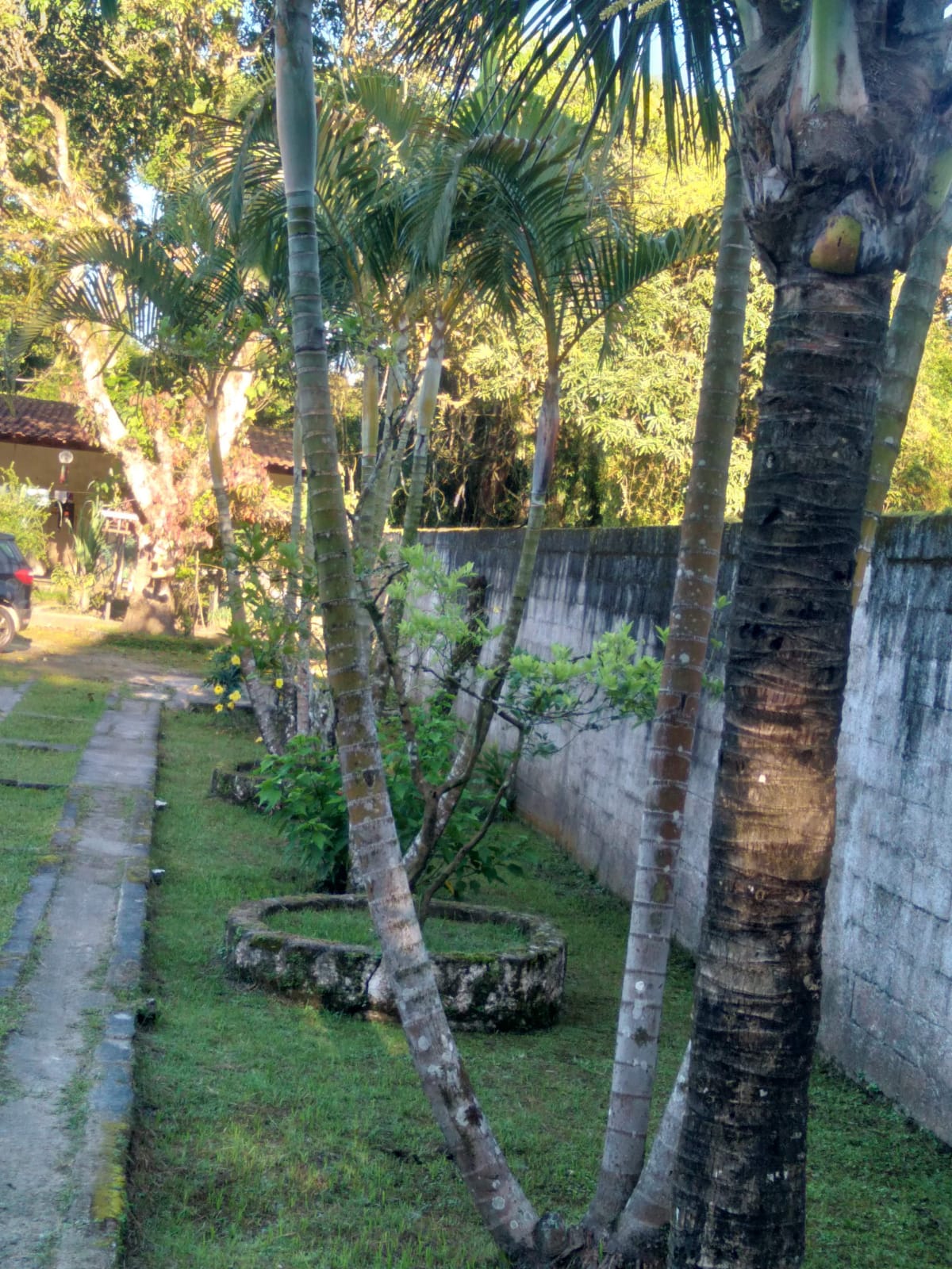 CHÁCARA NO JARDIM CORONEL - ITANHAÉM/SP - LADO SERRA - foto 16
