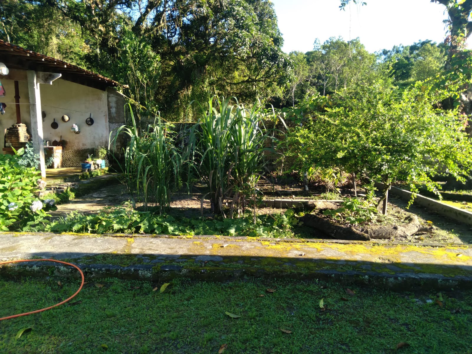 CHÁCARA NO JARDIM CORONEL - ITANHAÉM/SP - LADO SERRA - foto 18