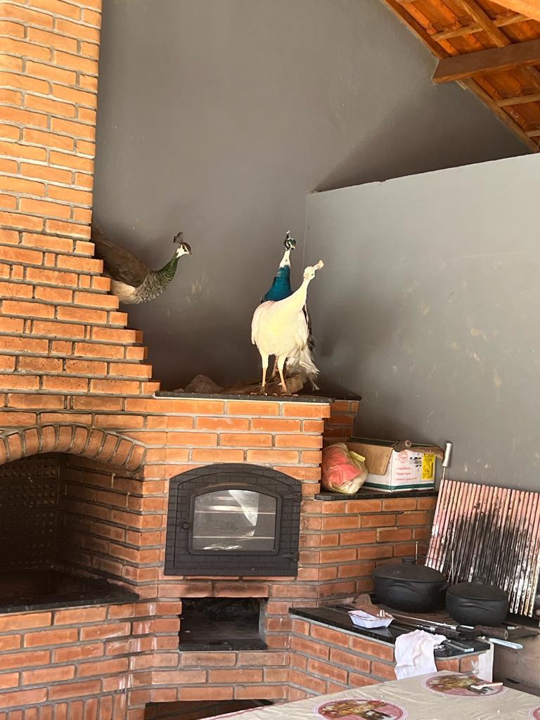 CHÁCARA EM PERUIBE - LADO SERRA - foto 8