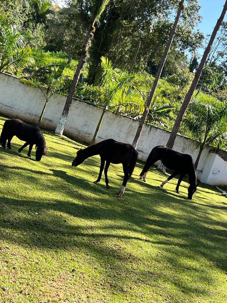CHÁCARA EM PERUIBE - LADO SERRA - foto 18