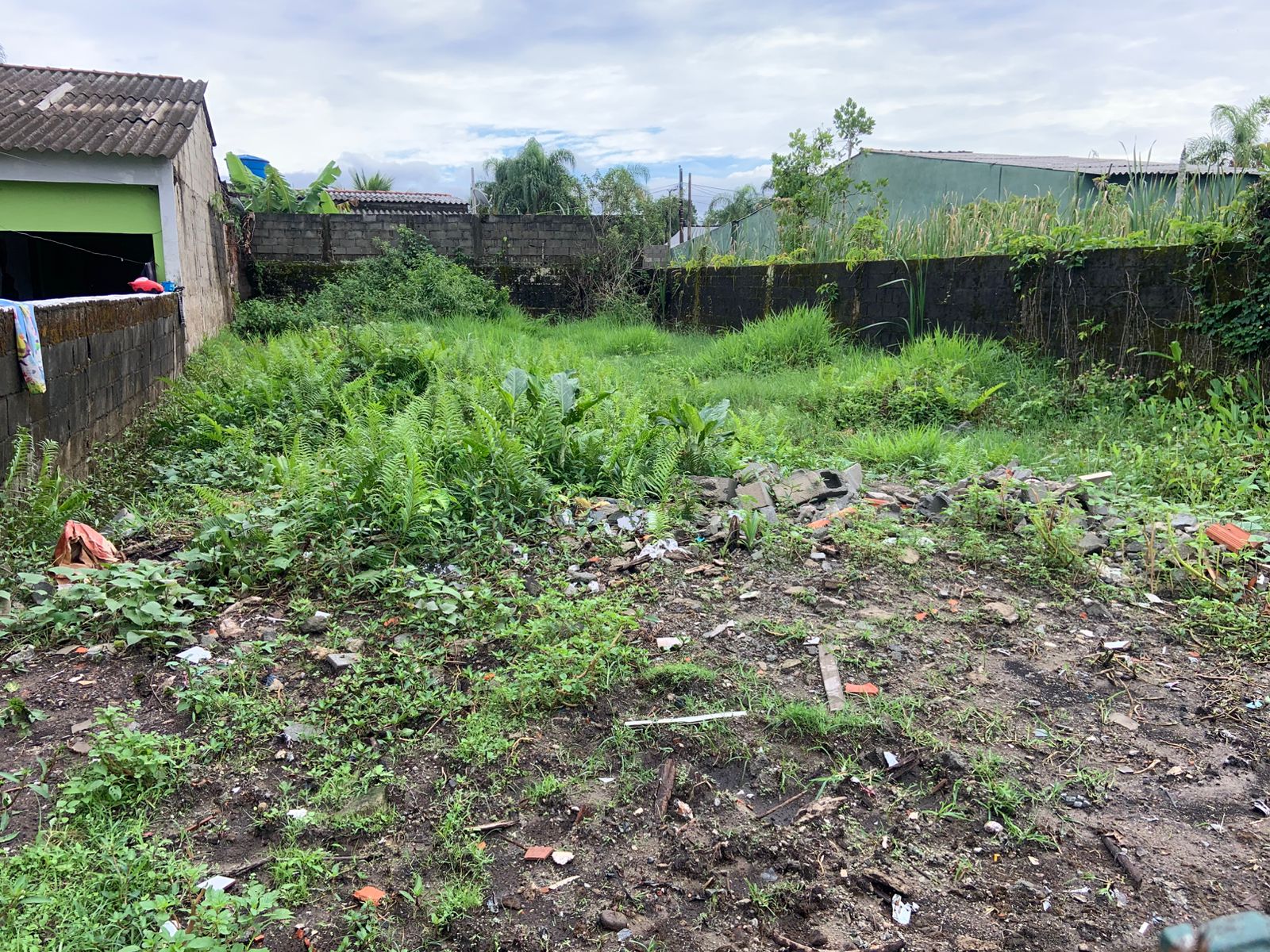 TERRENO COM LIBERAÇÃO AMBIENTAL NO JARDIM DAS PALMEIRAS - ITANHAÉM / SÃO PAULO - LADO PRAIA - 800 METROS DO MAR - foto 11