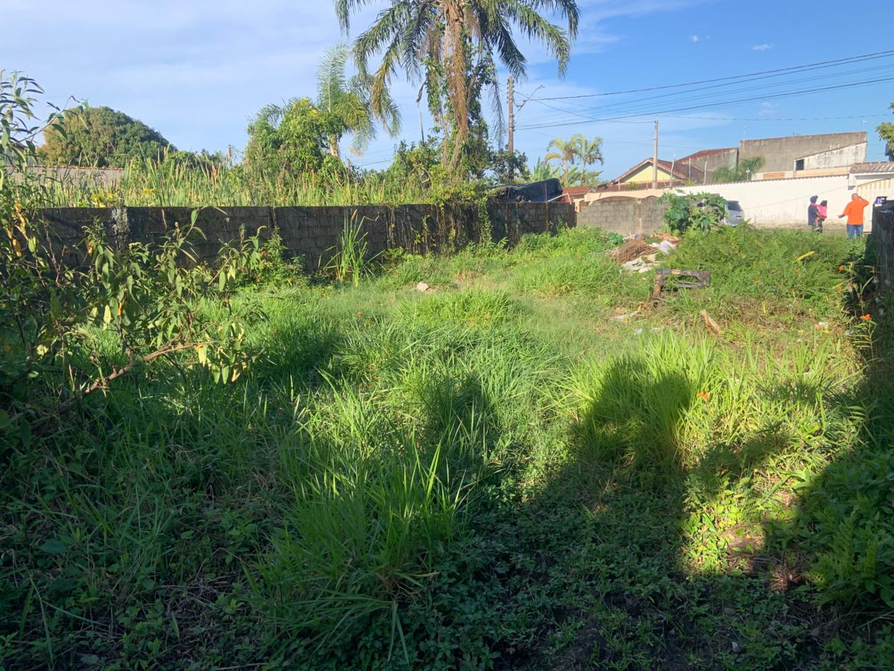 TERRENO COM LIBERAÇÃO AMBIENTAL NO JARDIM DAS PALMEIRAS - ITANHAÉM / SÃO PAULO - LADO PRAIA - 800 METROS DO MAR - foto 17