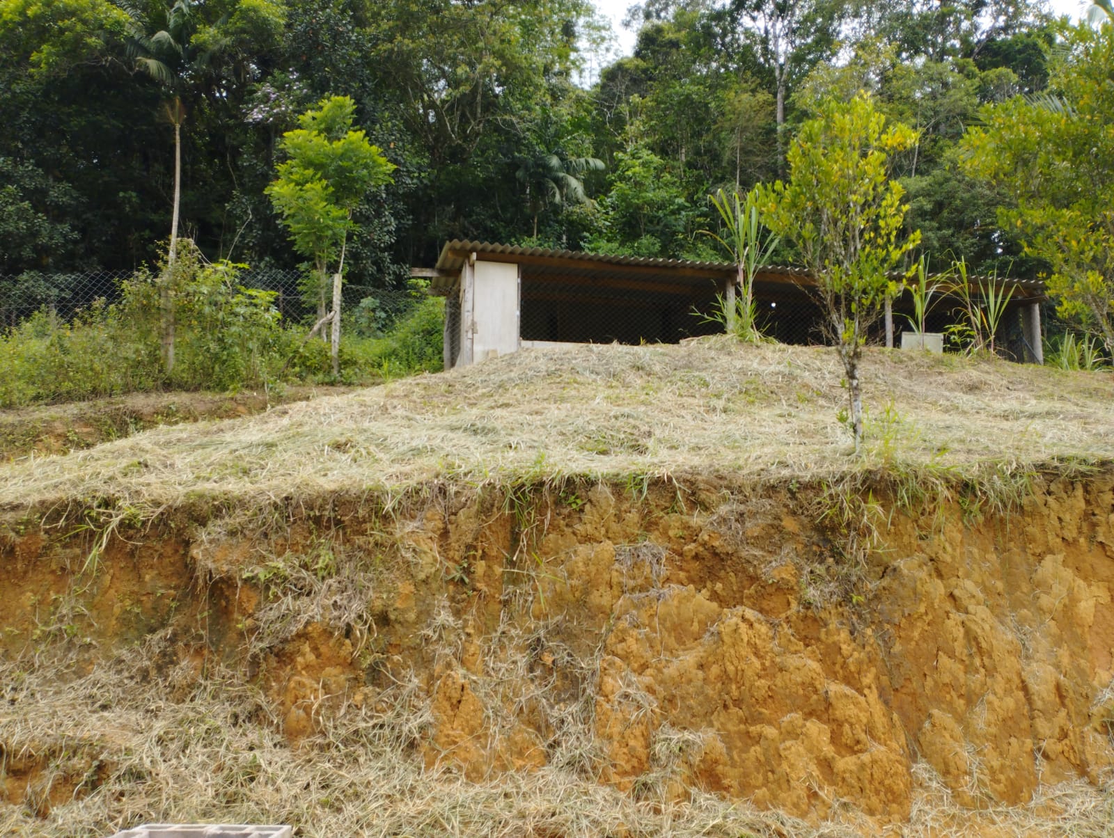 SITIO NO BAIRRO ITUPAVA- JUQUIÁ/SP - ÁREA RURAL - foto 4