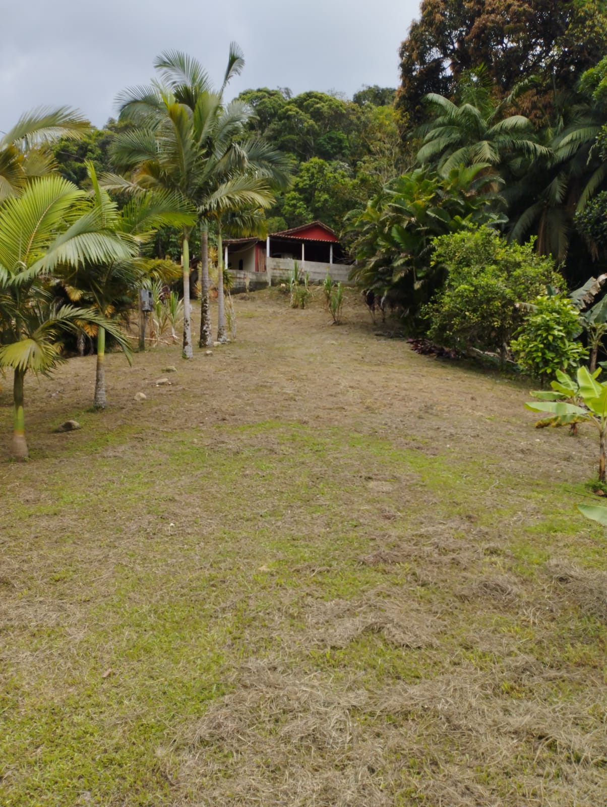 SITIO NO BAIRRO ITUPAVA- JUQUIÁ/SP - ÁREA RURAL - foto 7