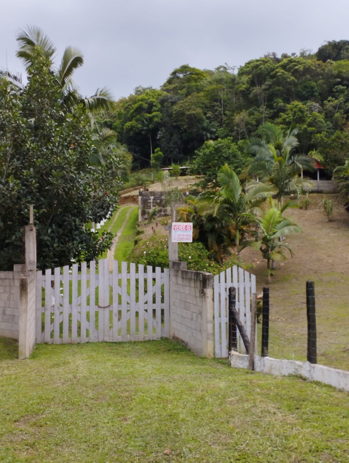SITIO NO BAIRRO ITUPAVA- JUQUIÁ/SP - ÁREA RURAL - foto 14