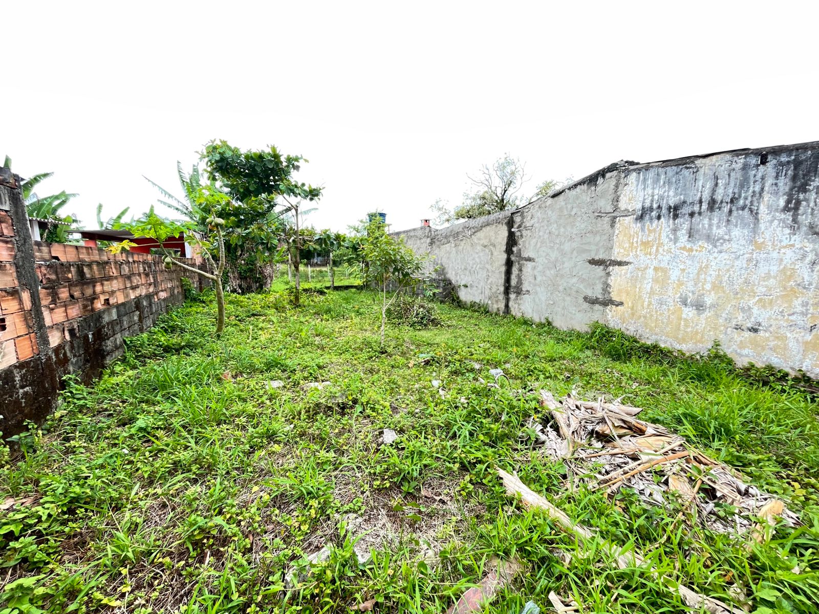 TERRENO NO JD. DAS PALMEIRAS / ITANHAÉM - LADO PRAIA - 1.000 METROS DO MAR - foto 2