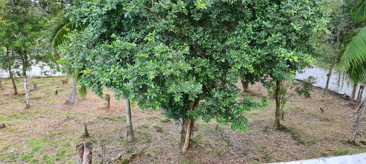 CHÁCARA NO JD SÃO FERNANDO - ITANHAÉM/SP - LADO SERRA  - foto 4
