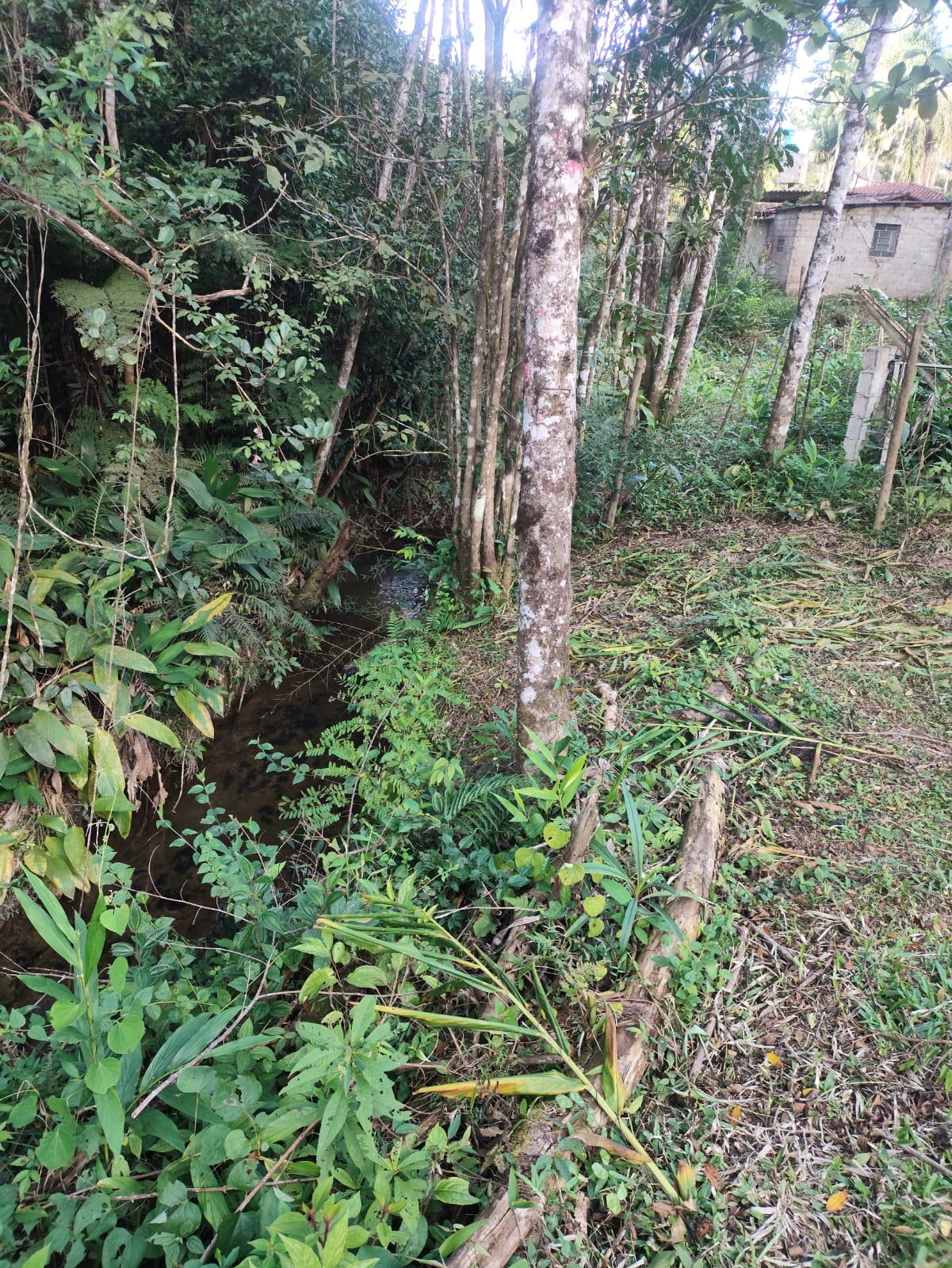 CHÁCARA NA BARRINHA - SÃO LOURENÇO DA SERRA/SP - foto 13