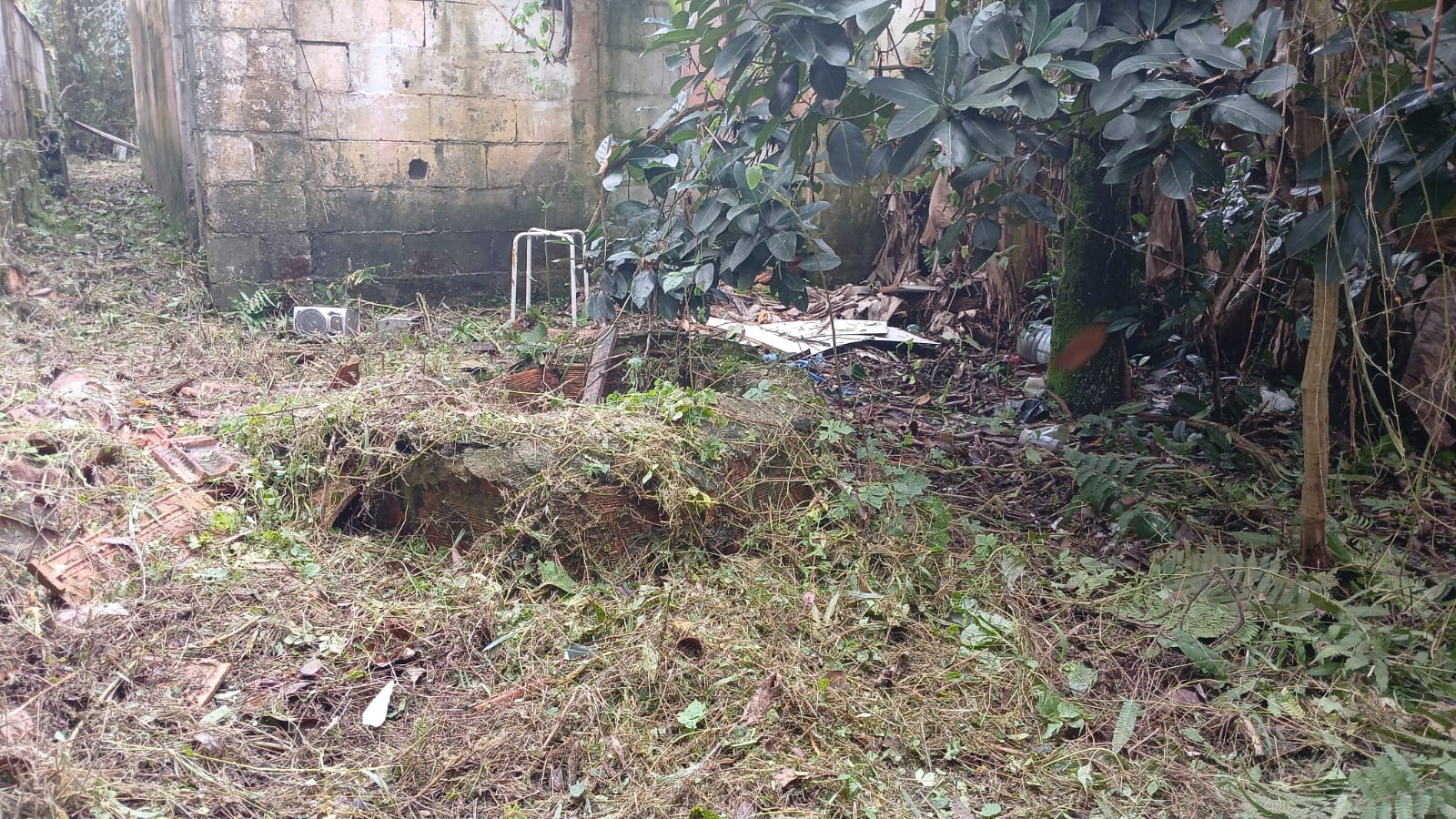 TERRENO NO BAIRRO SÃO JORGE - ITANHAÉM/SP - LADO PRAIA - foto 3