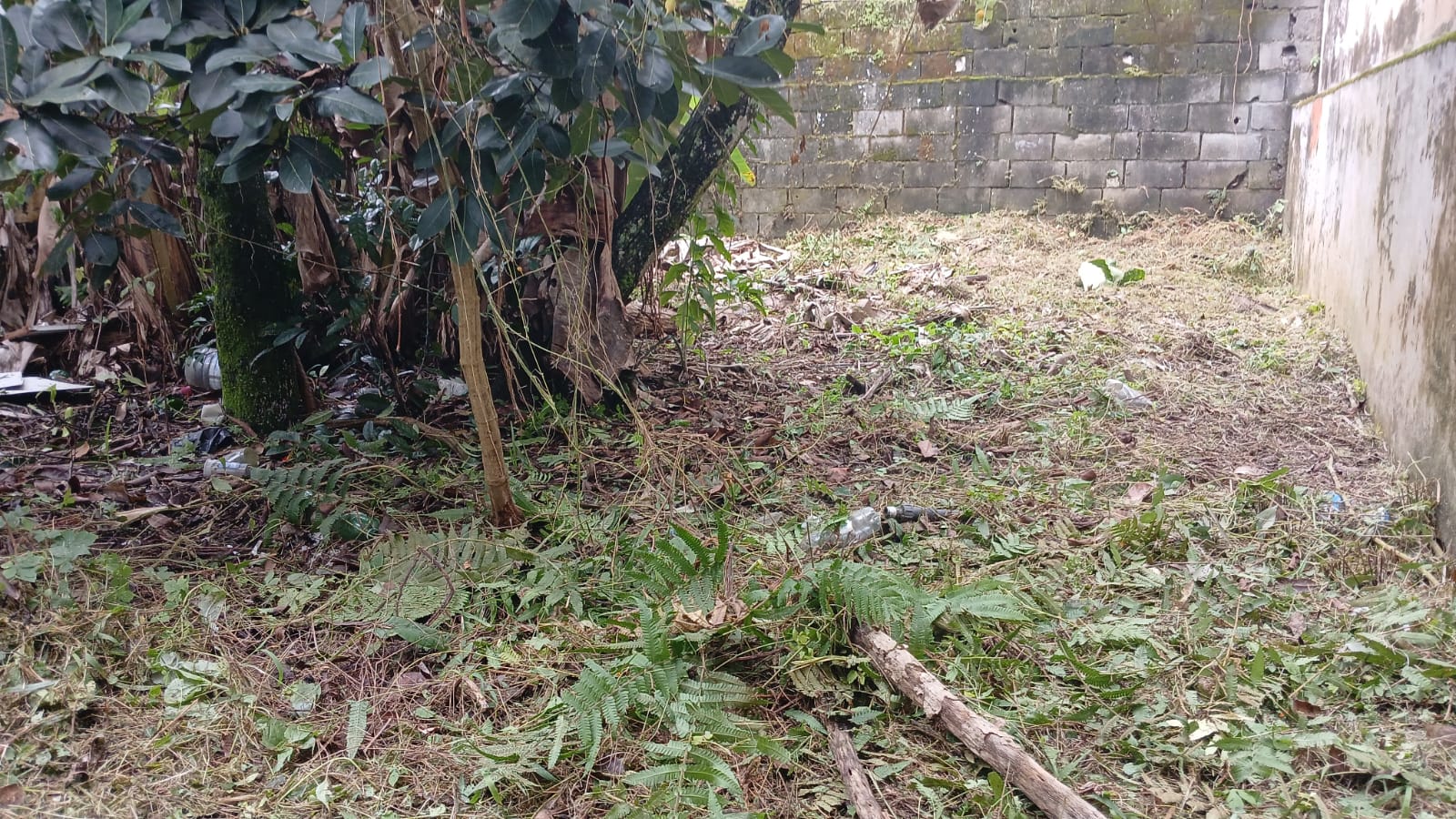 TERRENO NO BAIRRO SÃO JORGE - ITANHAÉM/SP - LADO PRAIA - foto 4